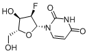2'-氟-2'-脱氧尿苷